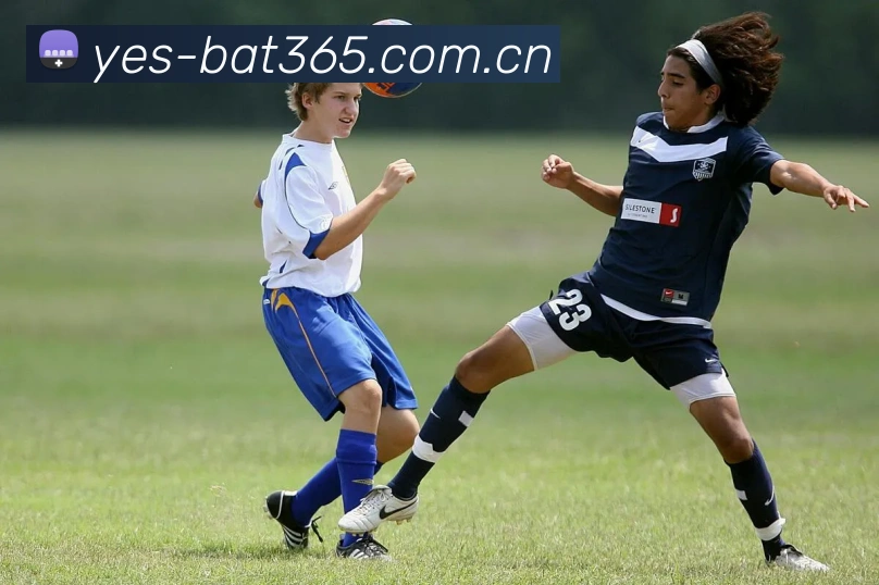 bat365入口App